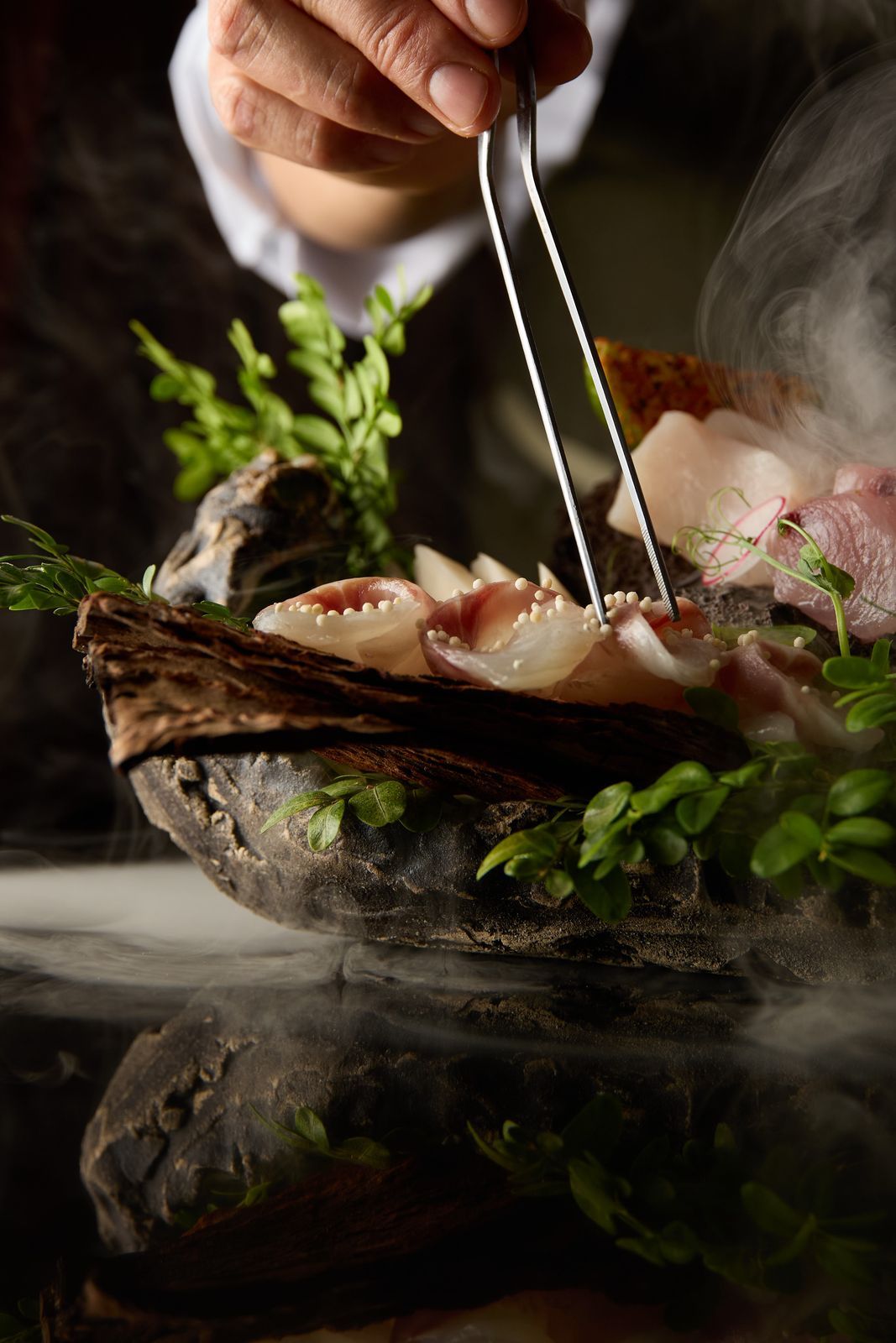 Sashimi